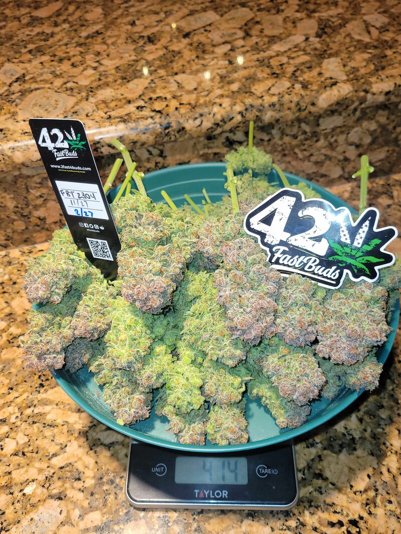 Pound Cake Auto, Фасовка: 1, изображение 38